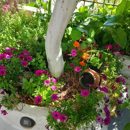 studio in garden Poros Town Esterno foto