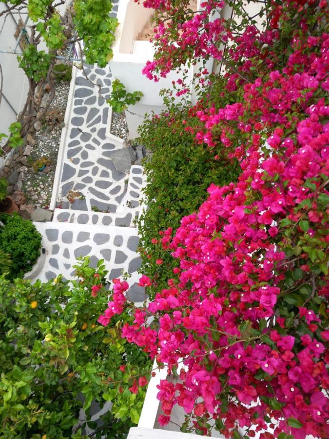studio in garden Poros Town Esterno foto