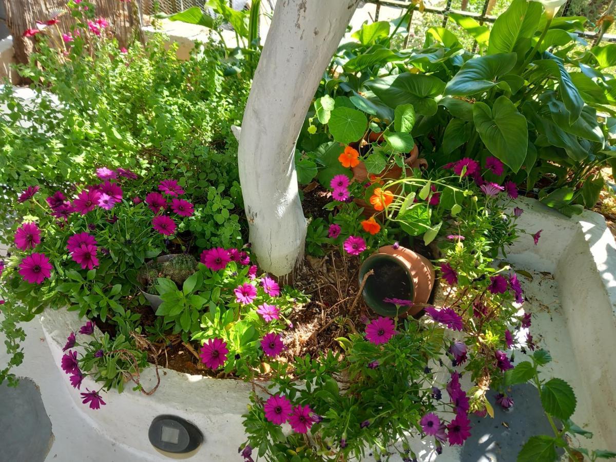 studio in garden Poros Town Esterno foto